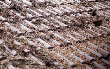 Upper Ochrwyth roof cleaning companies